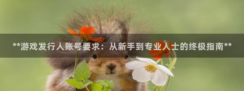 门徒平台理 411o31 门徒：**游戏发行人账号要求：从新手到专业人士的终极指南**