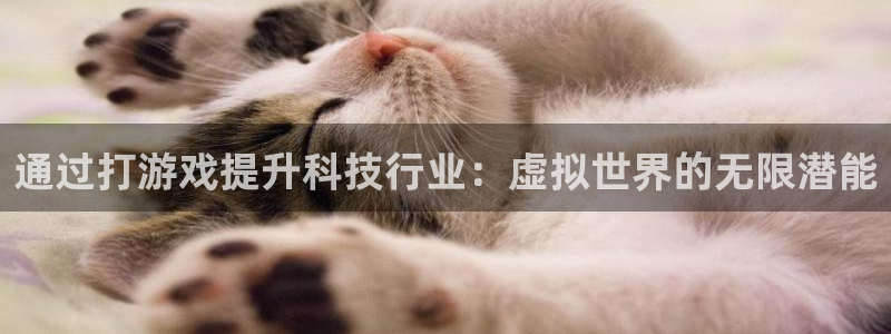 门徒娱乐服务器在哪里：通过打游戏提升科技行业：虚拟世界的无限潜能
