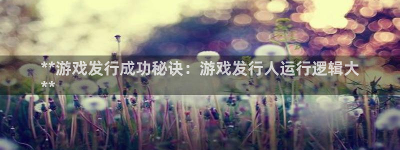 门徒娱乐怎么注册微信：**游戏发行成功秘诀：游戏发行人运行逻辑大
**