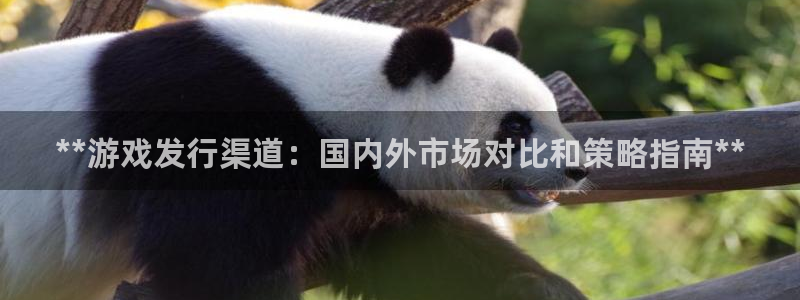 门徒平台服务站：**游戏发行渠道：国内外市场对比和策略指南**