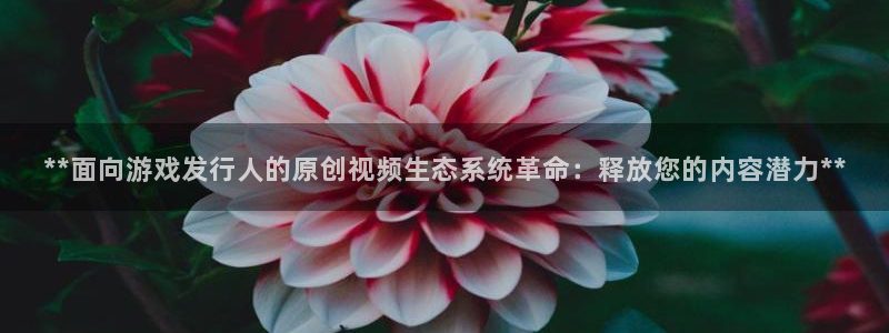 门徒娱乐是什么意思啊：**面向游戏发行人的原创视频生态系统革命：释放您的内容潜力**