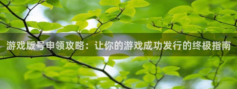 门徒平台登录注册流程：游戏版号申领攻略：让你的游戏成功发行的终极指南