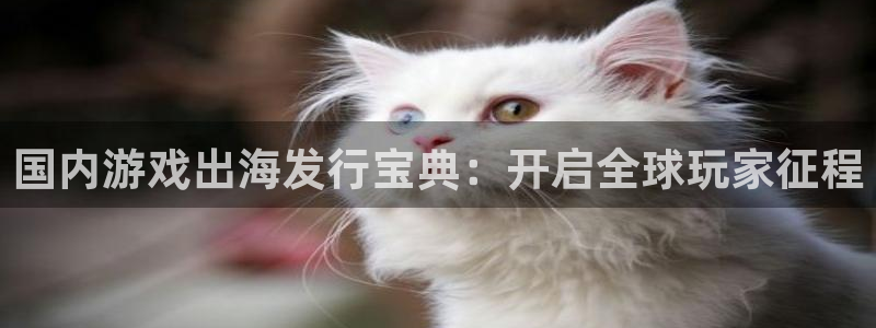 门徒平台开户怎么开通：国内游戏出海发行宝典：开启全球玩家征程