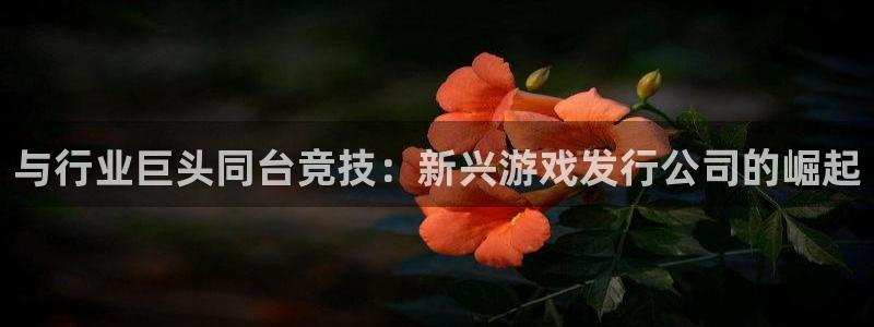 门徒平台开户流程：与行业巨头同台竞技：新兴游戏发行公司的崛起