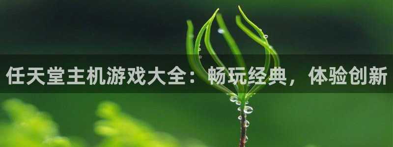 门徒平台注册登陆：任天堂主机游戏大全：畅玩经典，体验创新