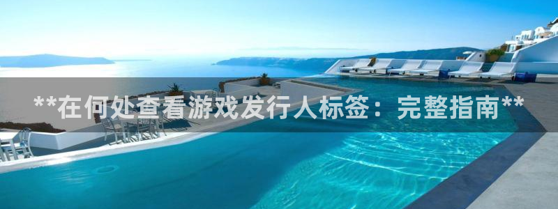 门徒平台建 411o31 门徒：**在何处查看游戏发行人标签：完整指南**