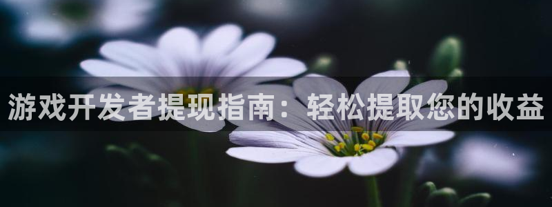门徒娱乐登录地址在哪查询啊：游戏开发者提现指南：轻松提取您的收益