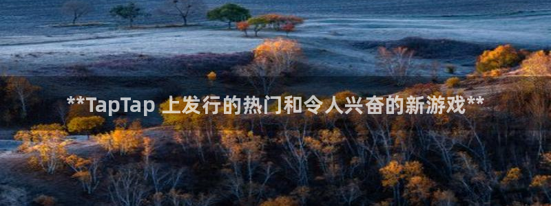 门徒平台注册登陆失败：**TapTap 上发行的热门和令人兴奋的新游戏**