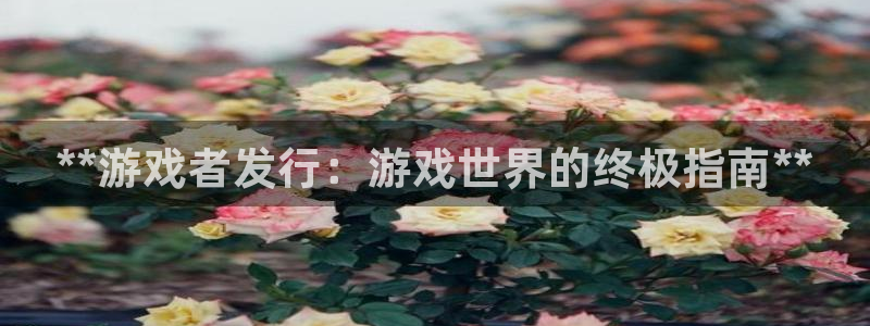 门徒平台注册官网入口：**游戏者发行：游戏世界的终极指南**