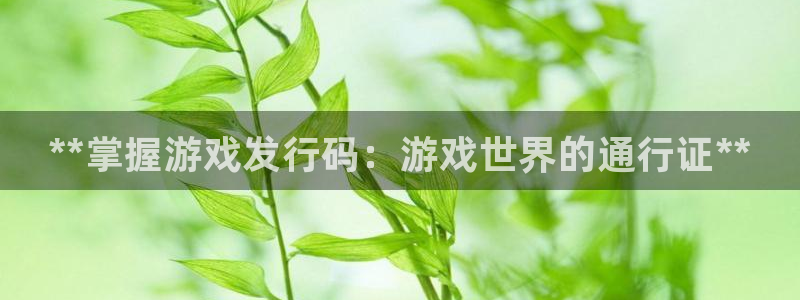 门徒娱乐app代理加盟多少钱