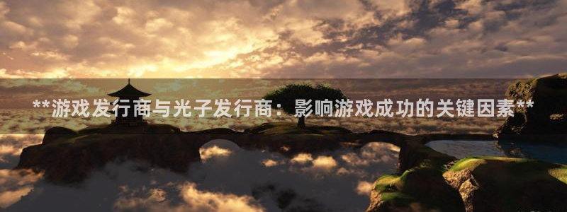 门徒娱乐企业简介：**游戏发行商与光子发行商：影响游戏成功的关键因素**