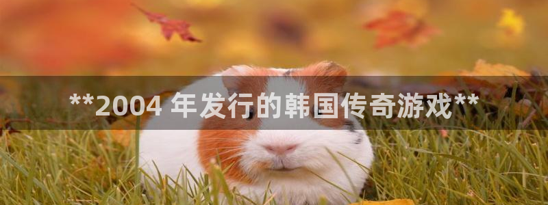 门徒平台：**2004 年发行的韩国传奇游戏**