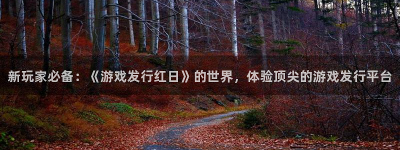 门徒平台系 5O6917 门徒