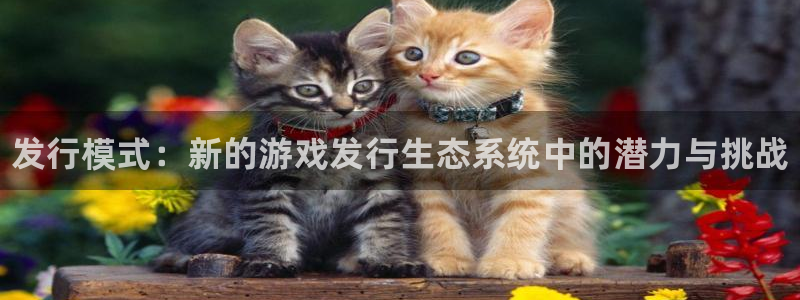 门徒娱乐登录测速：发行模式：新的游戏发行生态系统中的潜力与挑战